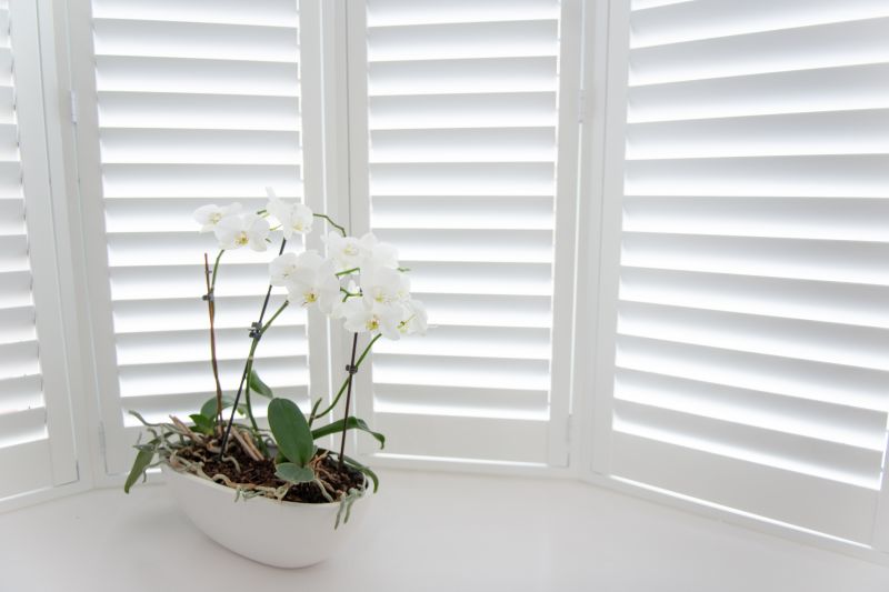 Shutter Mounting in Alpharetta, GA