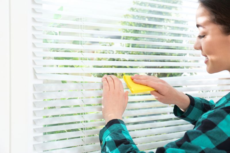 Window Blinds Cleaning in Madison, WI